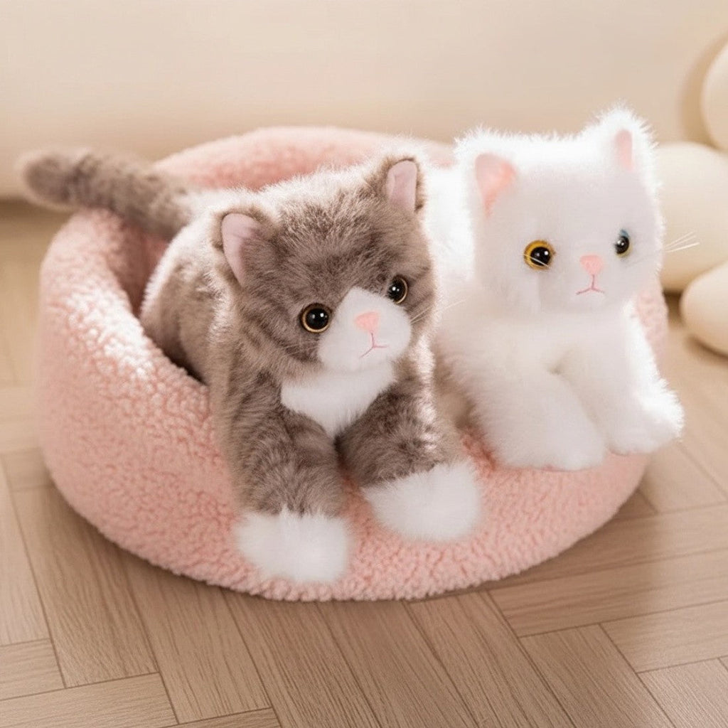 Kattenknuffel in 6 uitvoeringen, 40 of 53 cm